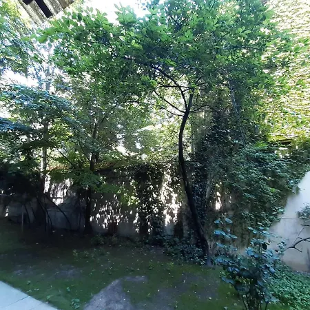 Downtown In Walk Zone With 3 Bedrooms And Garage