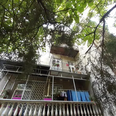 Downtown In Walk Zone With 3 Bedrooms And Garage * Novi Sad