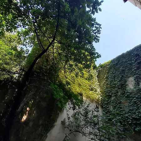 Downtown In Walk Zone With 3 Bedrooms And Garage Apartment *