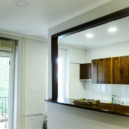 Downtown In Walk Zone With 3 Bedrooms And Garage Apartment Novi Sad