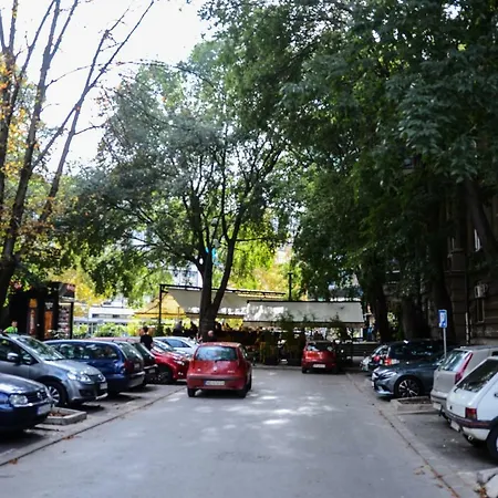 Downtown In Walk Zone With 3 Bedrooms And Garage Apartment Novi Sad
