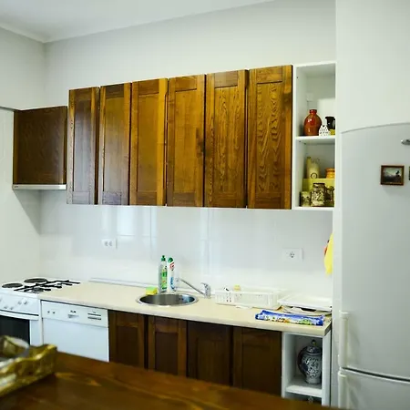 Downtown In Walk Zone With 3 Bedrooms And Garage * Novi Sad