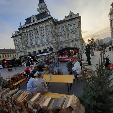 アパート Downtown In Walk Zone With 3 Bedrooms And Garage *