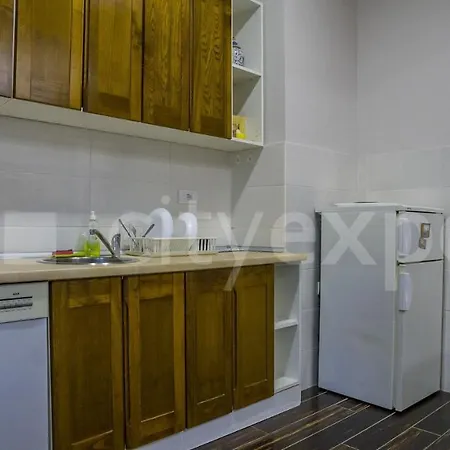 アパート Downtown In Walk Zone With 3 Bedrooms And Garage ノヴィ・サド